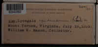 Image Associated With the Occurence